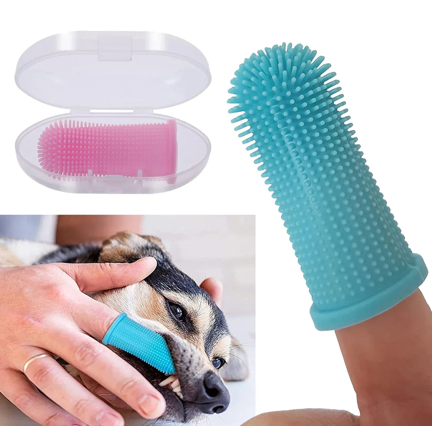 Brosse à dents chien pour | Boutique dogscats