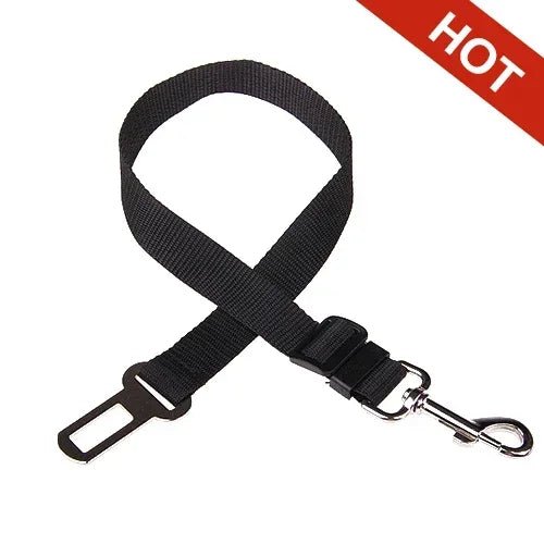 Ceinture de sécurité pour | Boutique dogscats