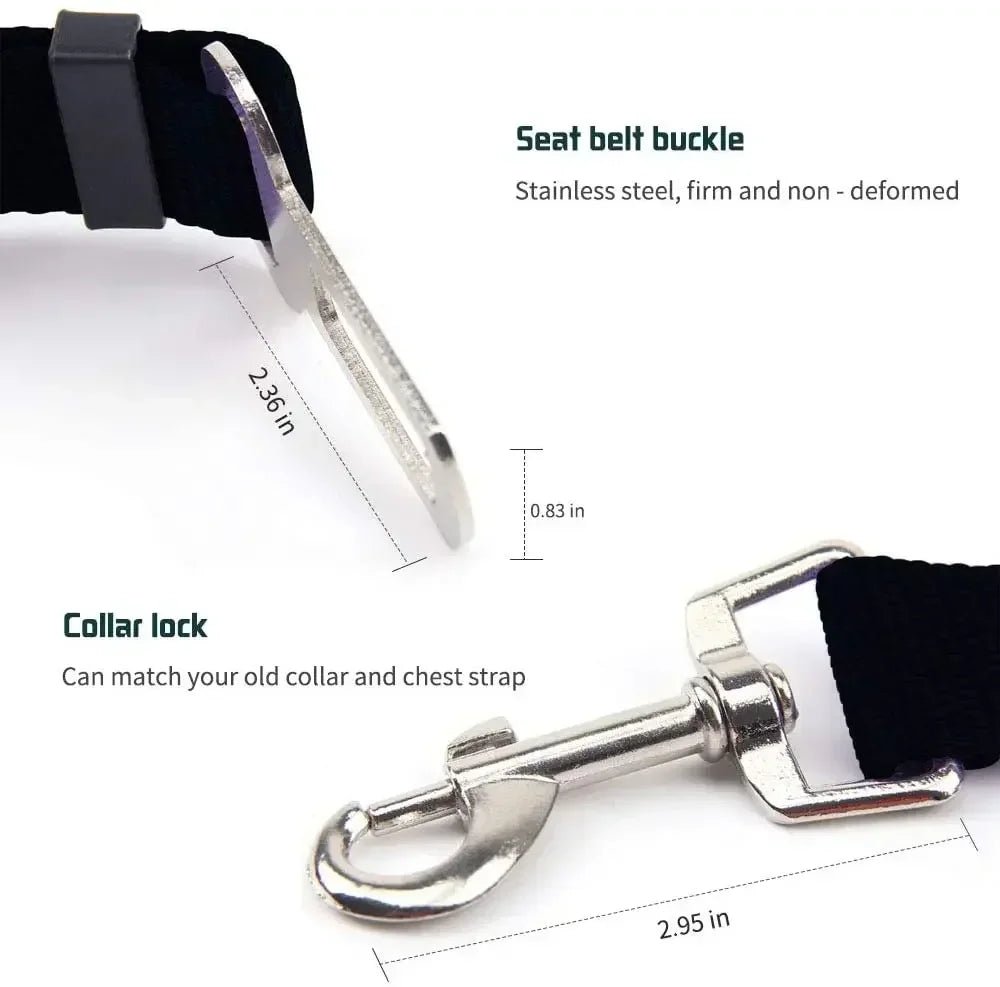 Ceinture de sécurité pour | Boutique dogscats