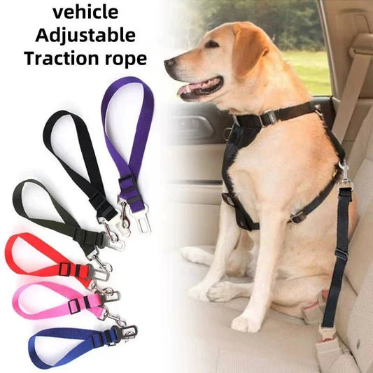 Ceinture de sécurité pour | Boutique dogscats