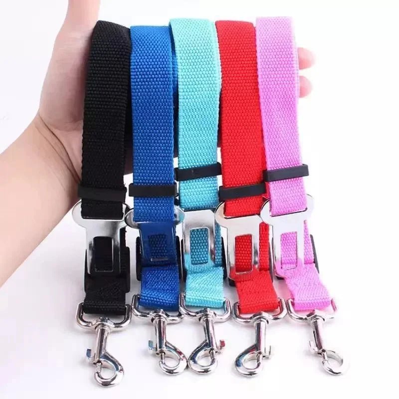 Ceinture de sécurité pour | Boutique dogscats
