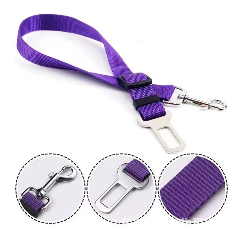 Ceinture de sécurité pour | Boutique dogscats
