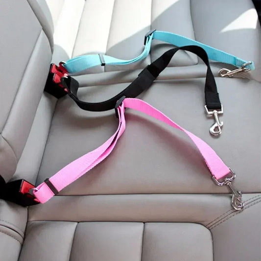Ceinture de sécurité pour | Boutique dogscats