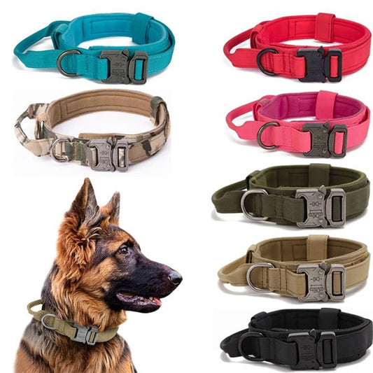 Collier poignet chien avec ou sans laisse pour | Boutique dogscats